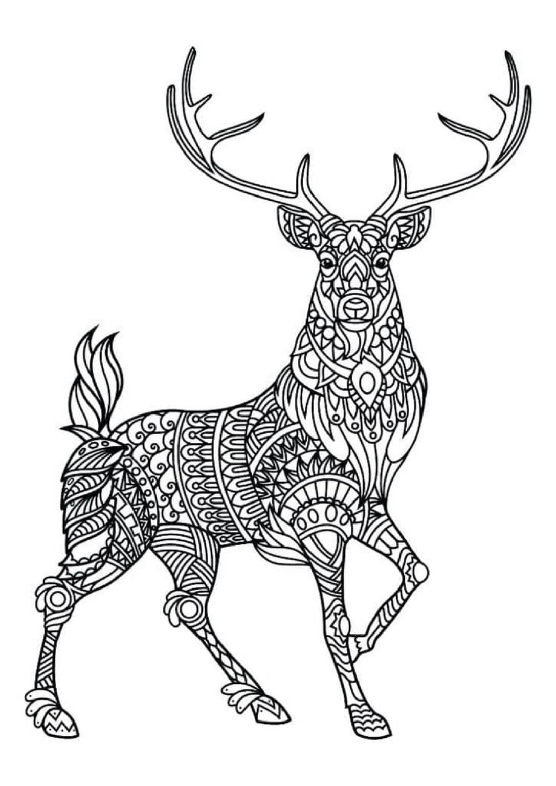 Mandala Deer Standing Coloring Page Mandalas