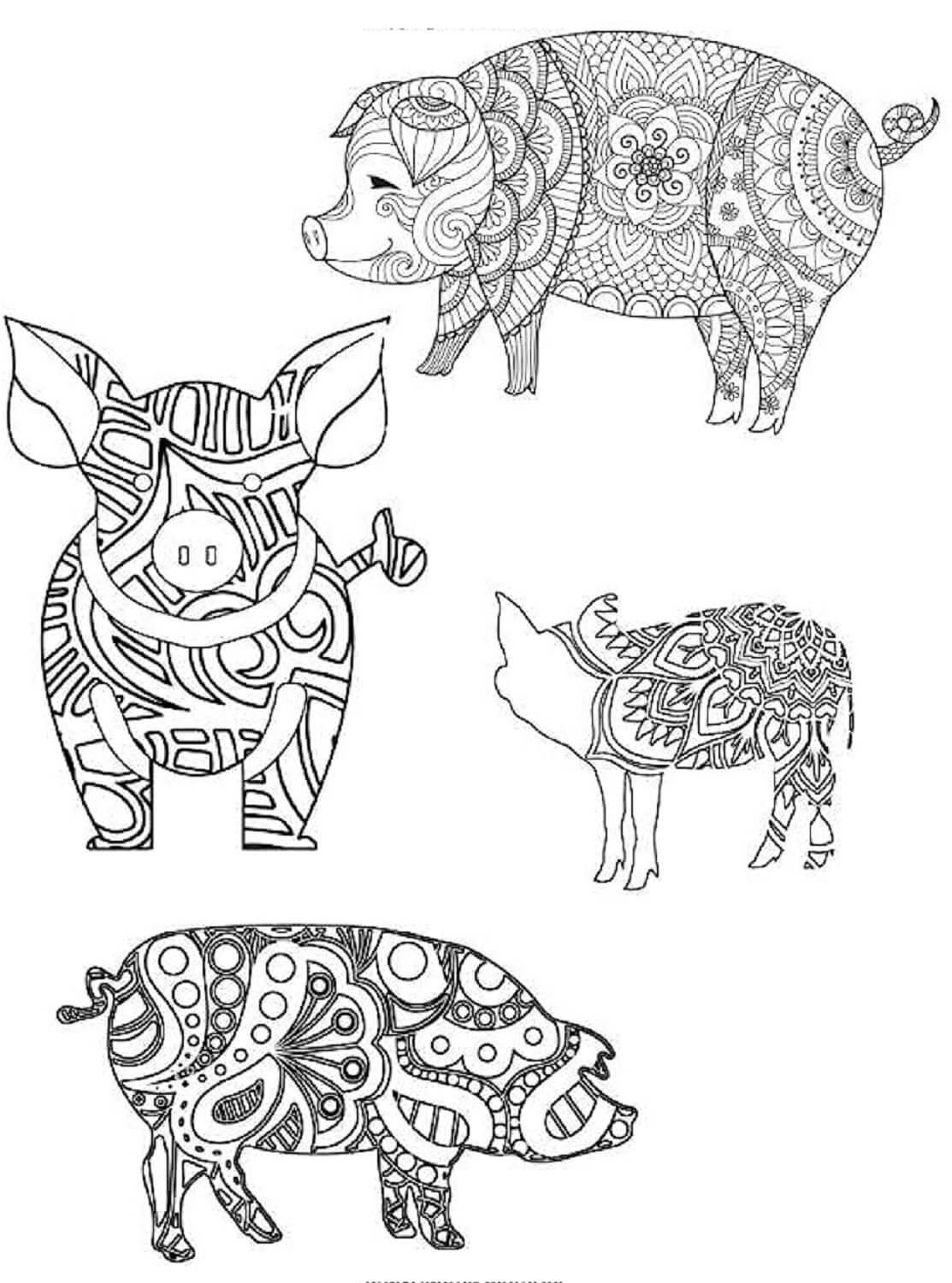 Mandala Four Pigs Coloring Page Mandalas