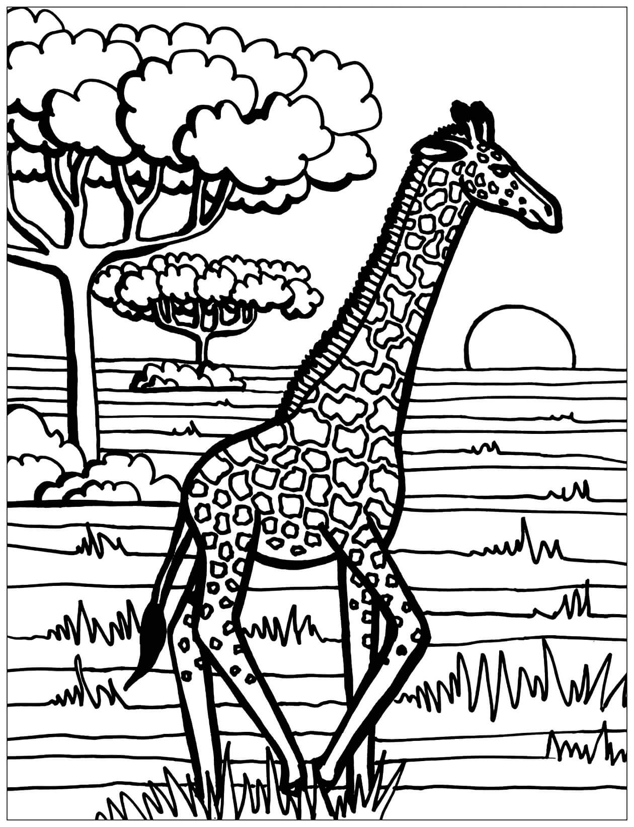 Mandala Giraffe Coloring Page - Sheet 10 Mandalas