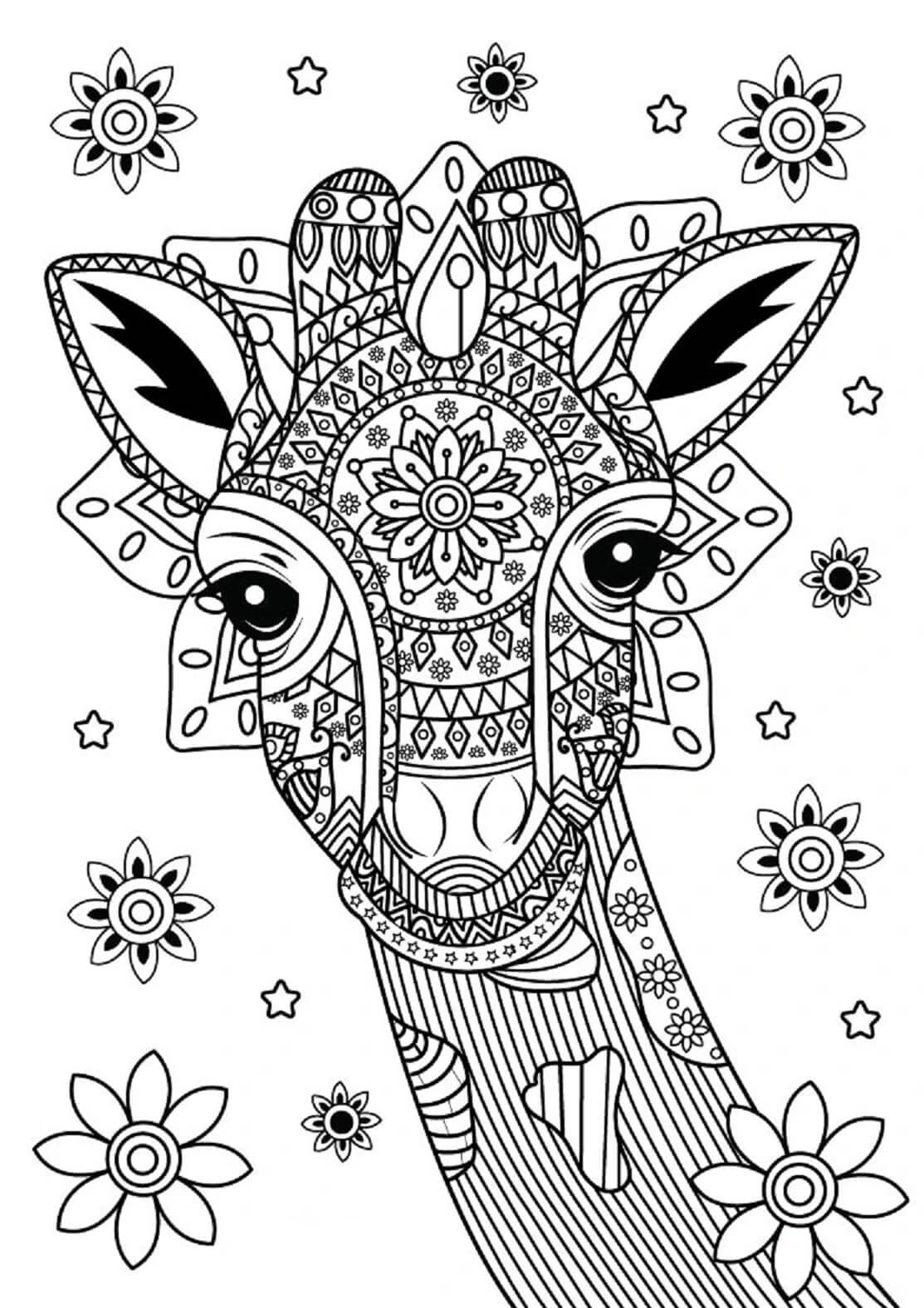 Mandala Giraffe Head With Flowers Coloring Page Mandalas