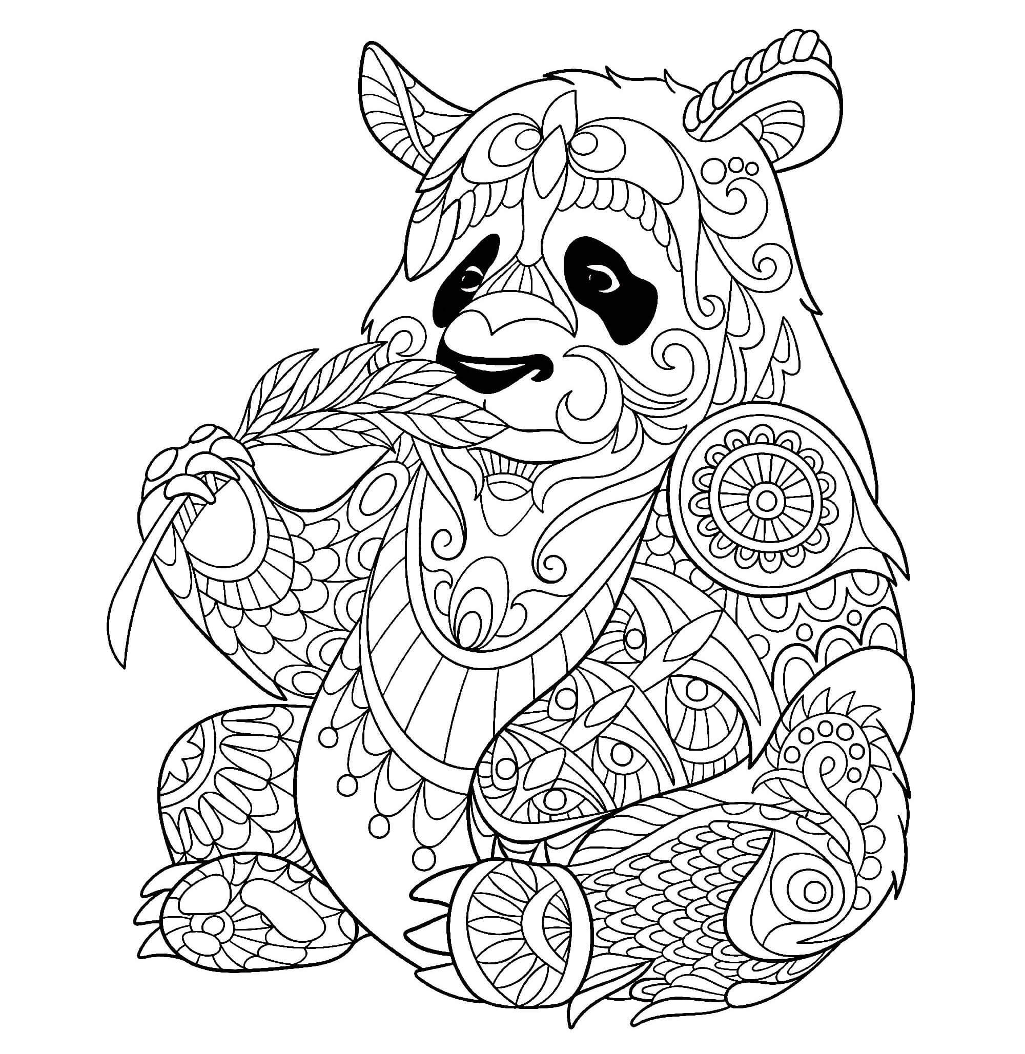 Mandala Panda Eating Bamboo Tree Coloring Page Mandala