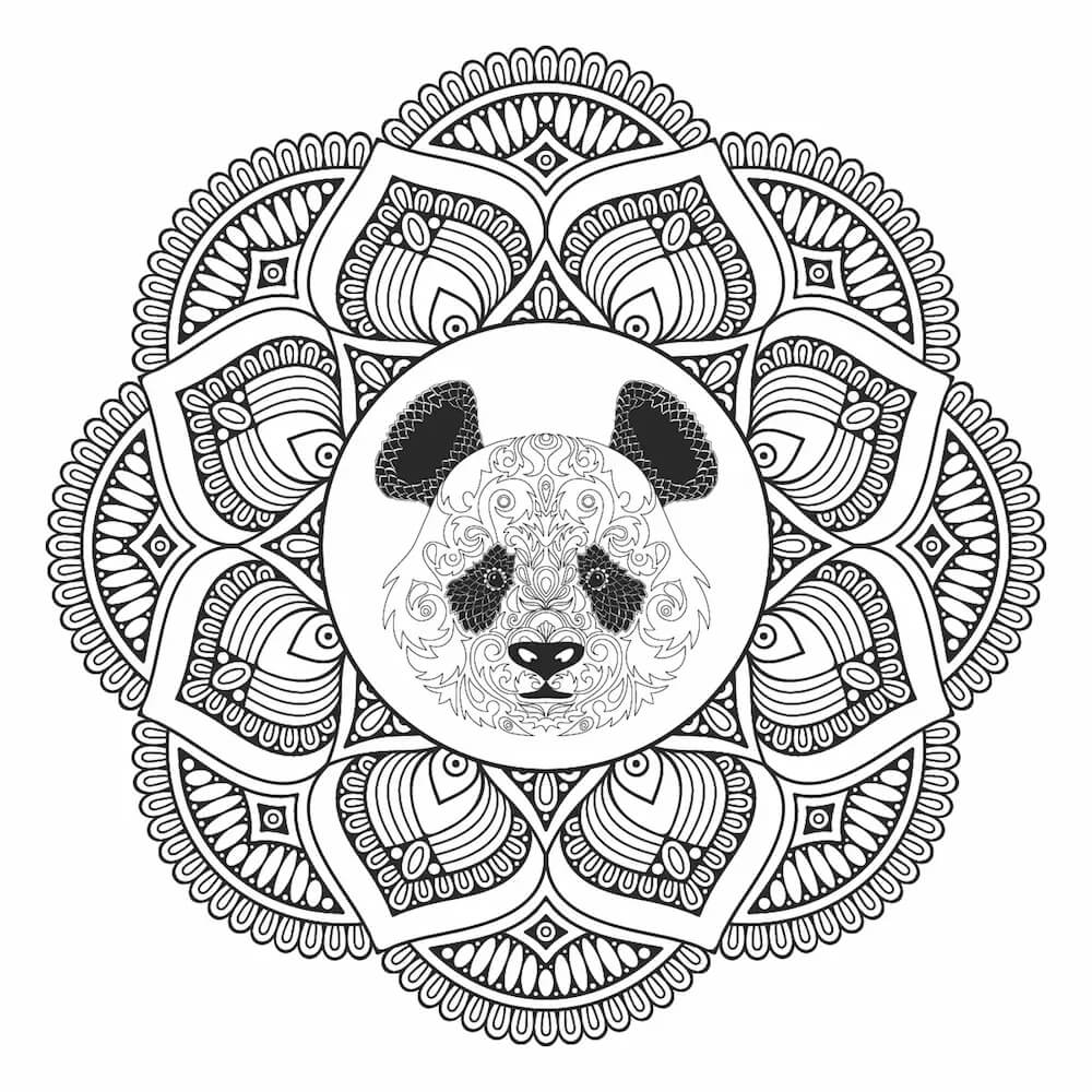 Mandala Panda Face Coloring Page Mandala