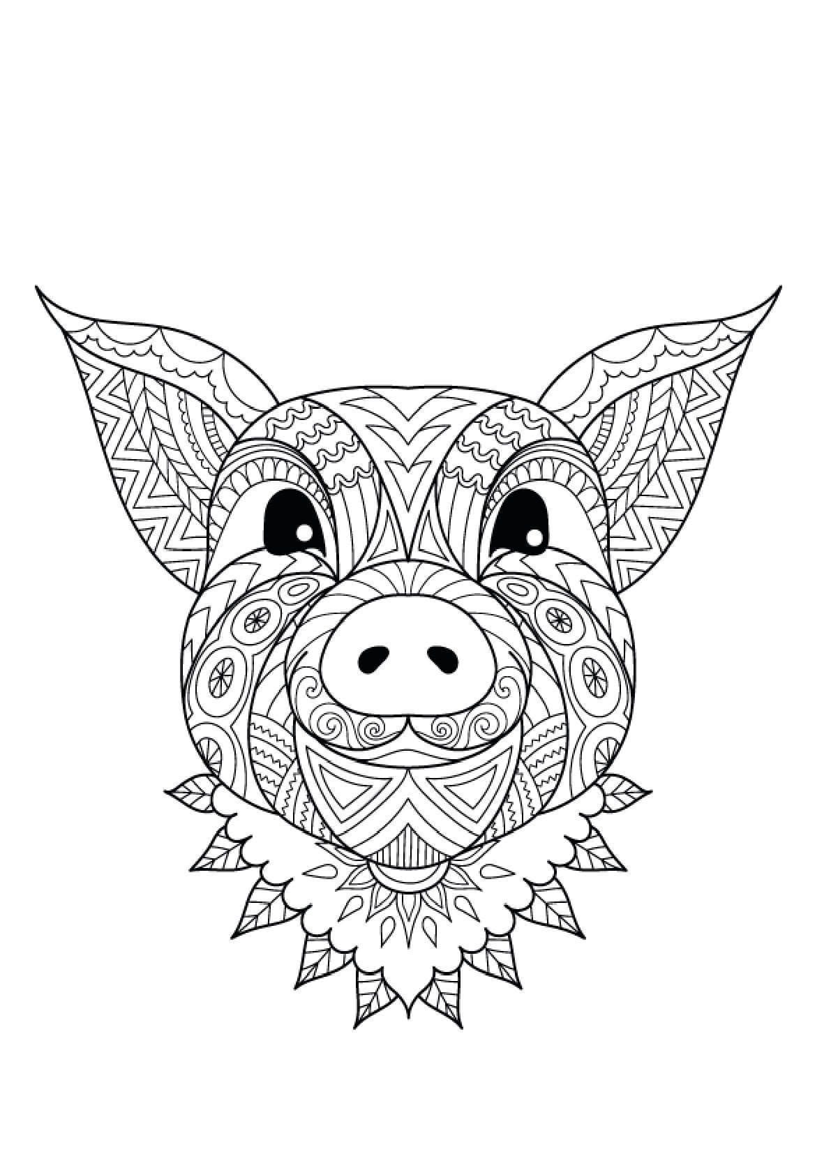 Mandala Pig Head Coloring Page Mandalas