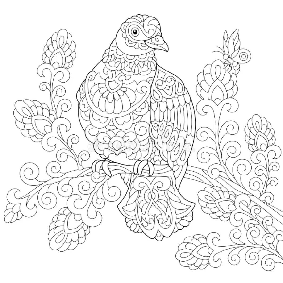 Mandala Pigeon Standing Coloring Page Mandalas