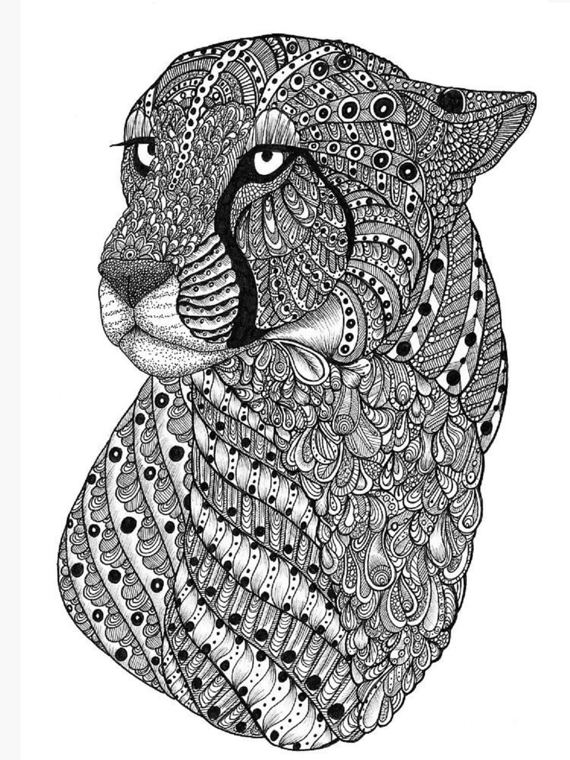 Mandala Portrait of Cheetah Coloring Page Mandala