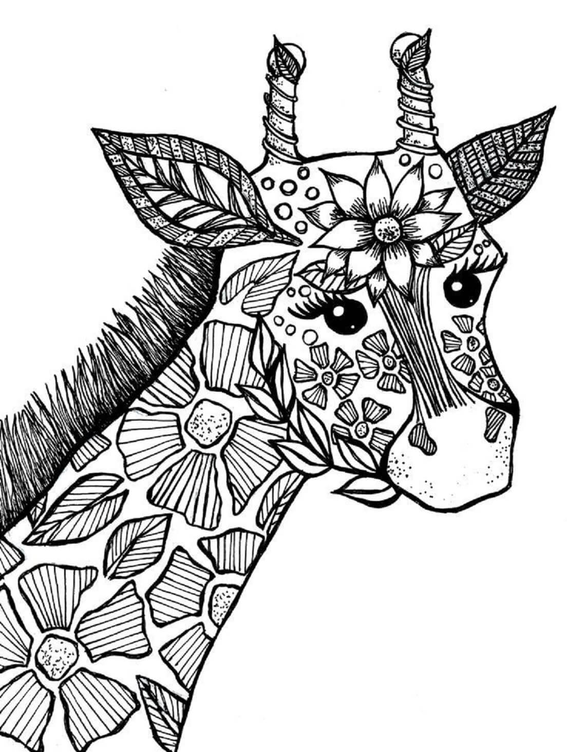 Mandala Portrait of Giraffe Coloring Page Mandalas