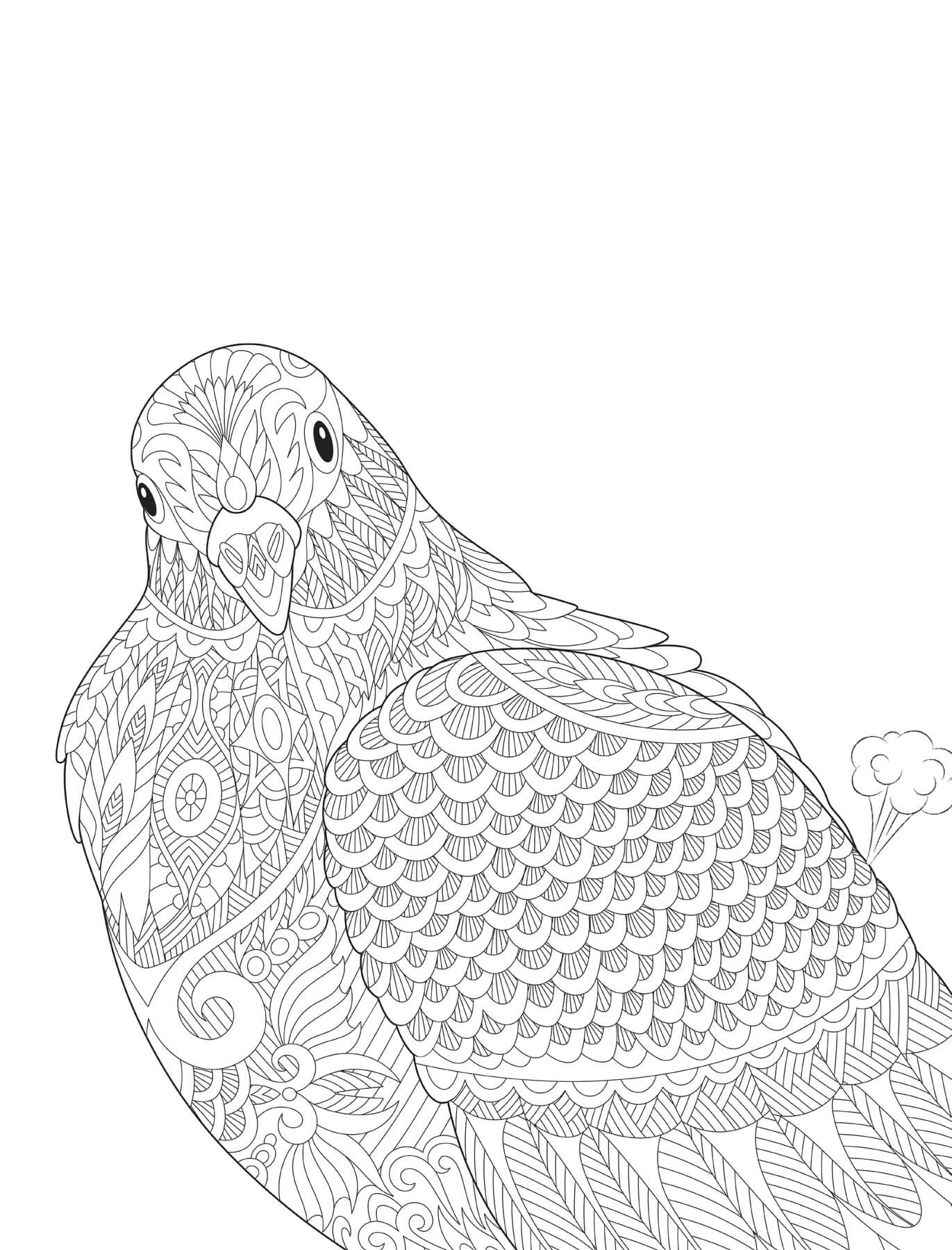 Mandala Portrait of Pigeon Coloring Page Mandalas