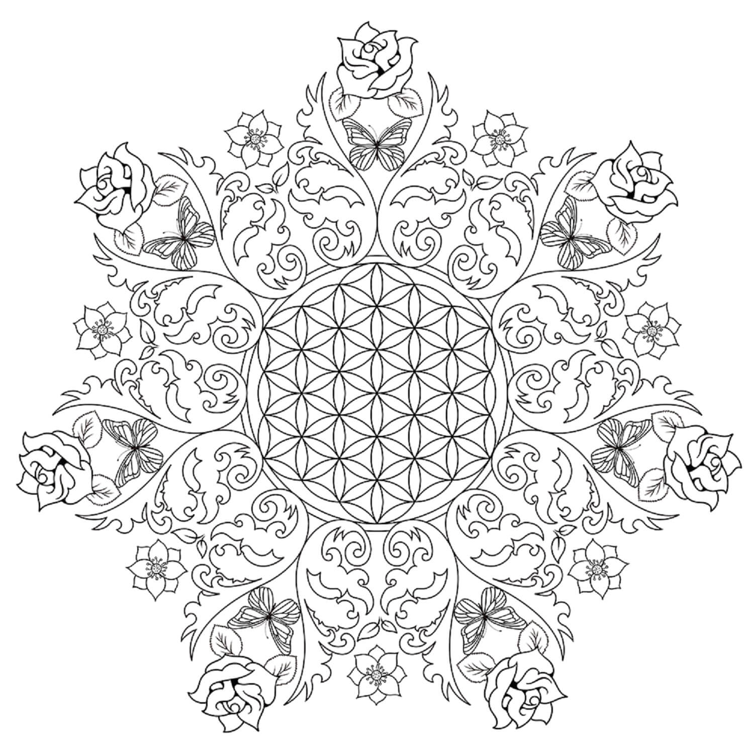 Mandala Rose Coloring Page - Sheet 2 Mandalas