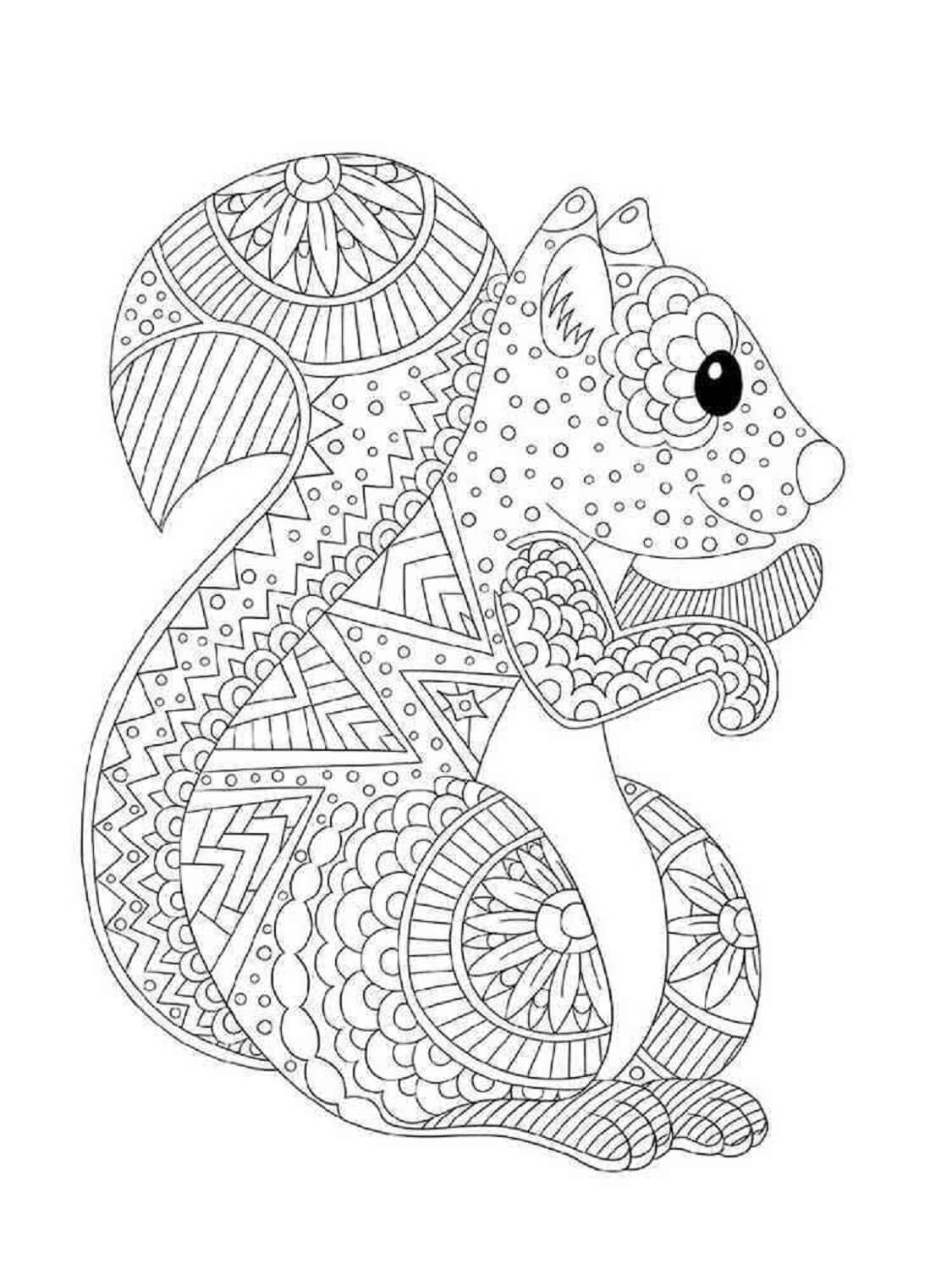 Mandala Smilling Squirrel Coloring Page Mandalas