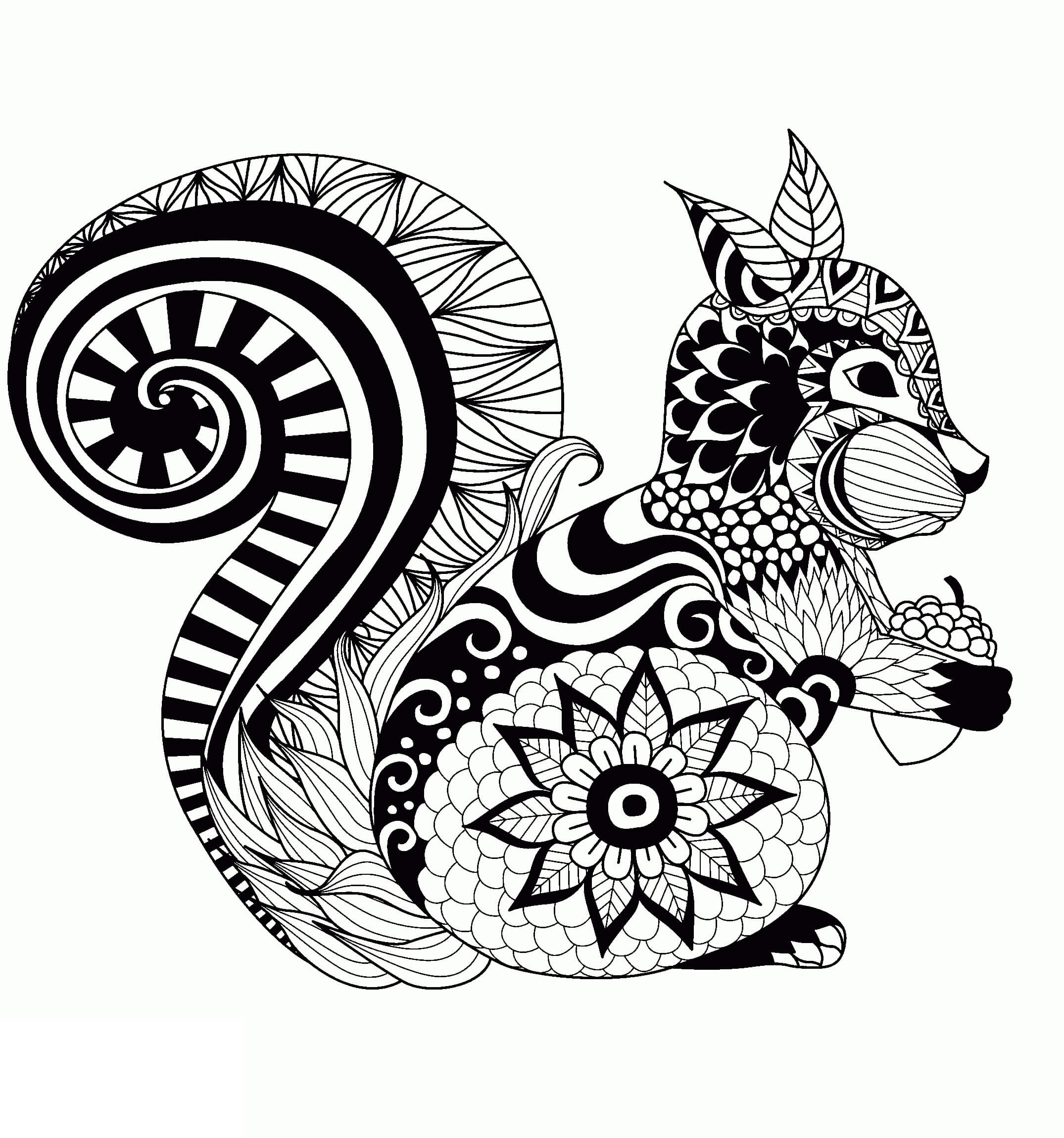 Mandala Squirrel Coloring Page – Sheet 1 Mandala