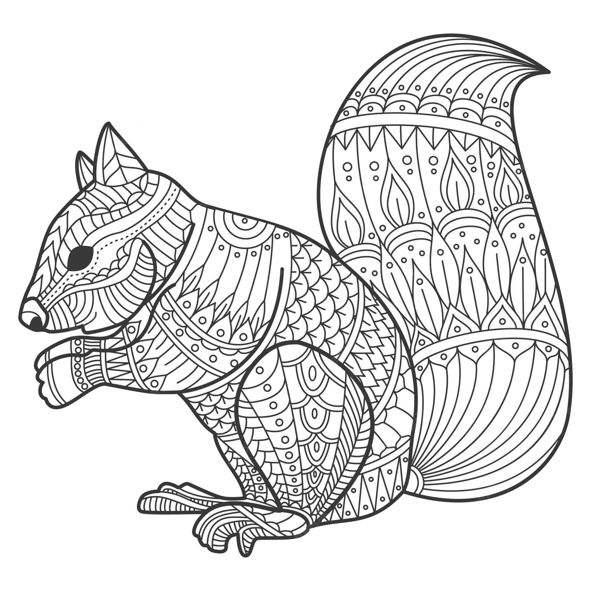 Mandala Squirrel Coloring Pages Mandalas