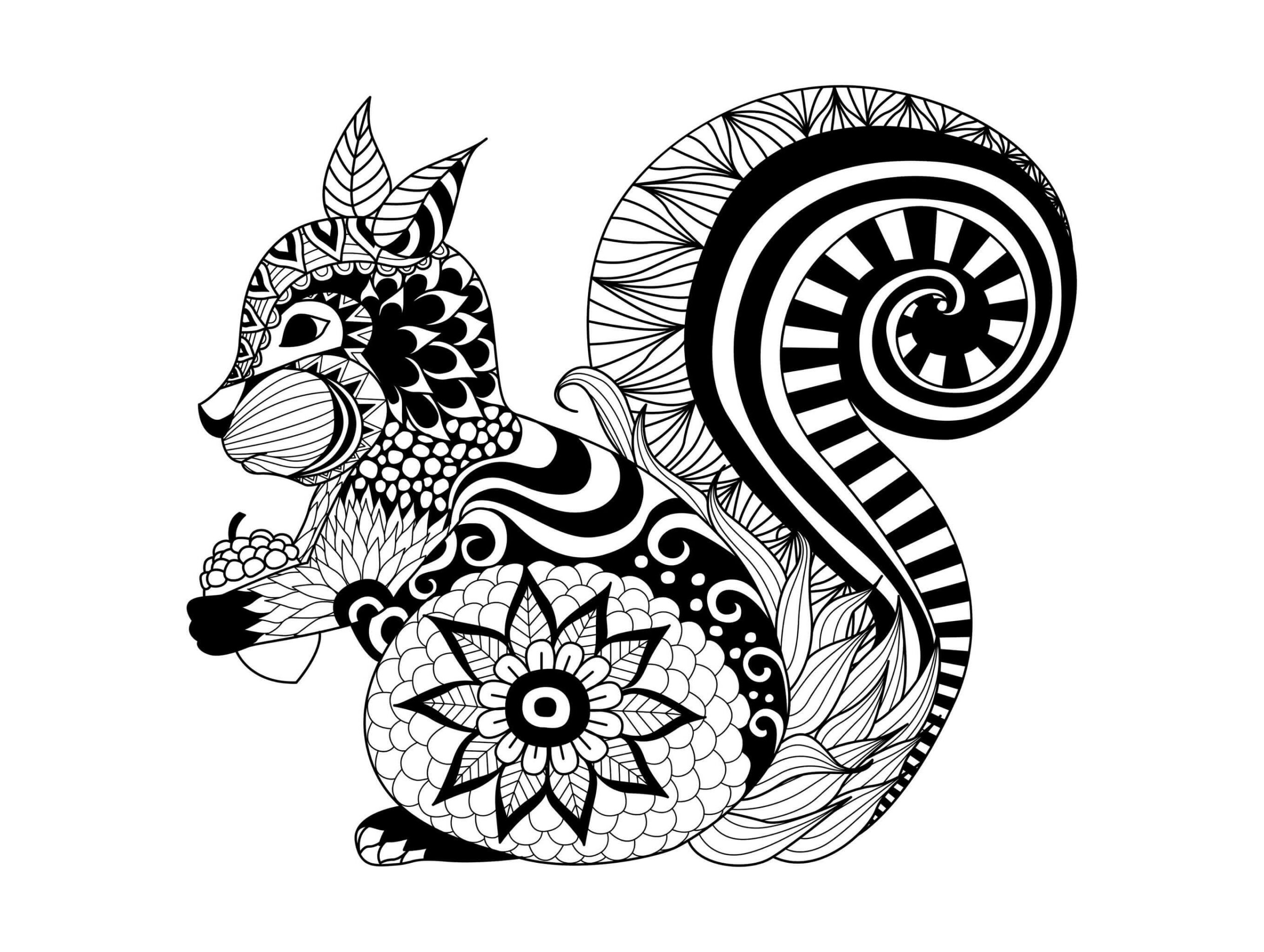 Mandala Squirrel Coloring Page - Sheet 4 Mandalas