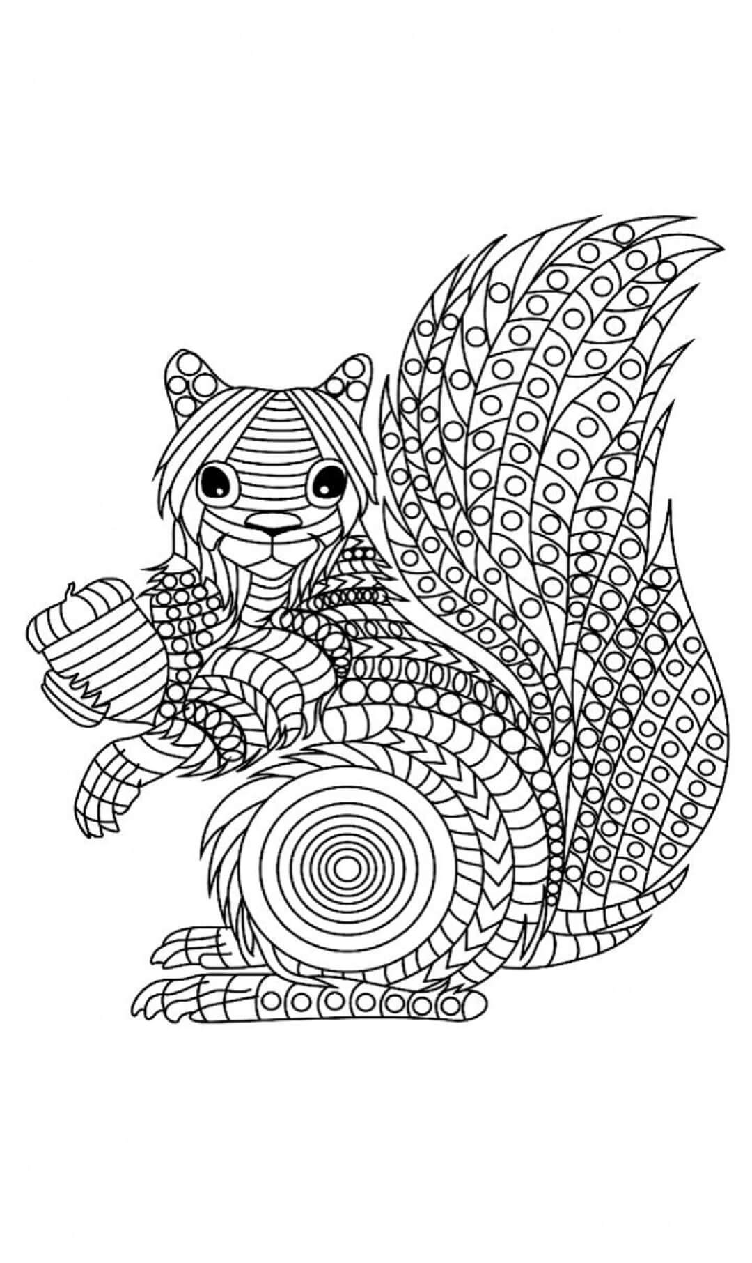 Mandala Squirrel Coloring Page - Sheet 5 Mandalas