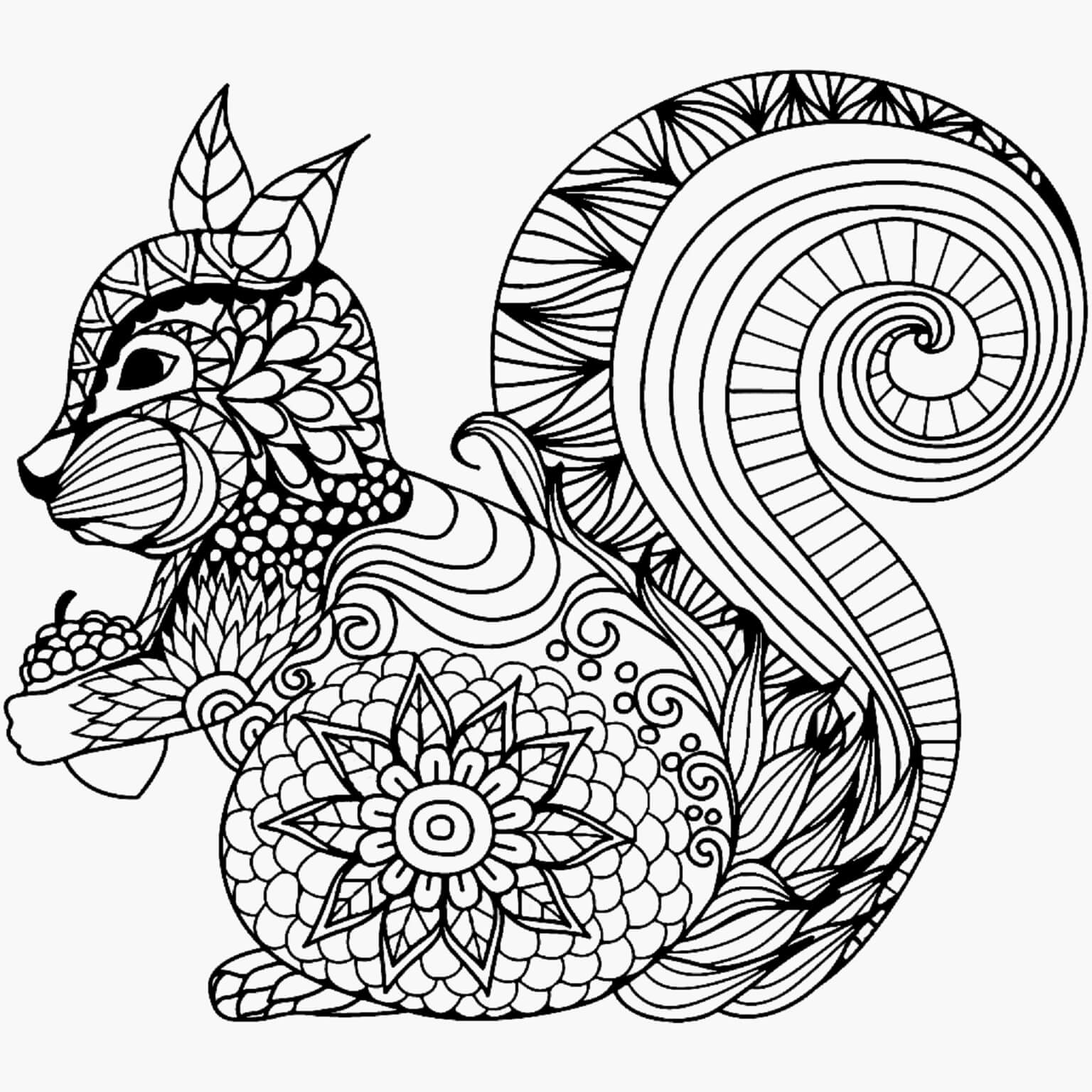 Mandala Squirrel Coloring Page - Sheet 7 Mandalas