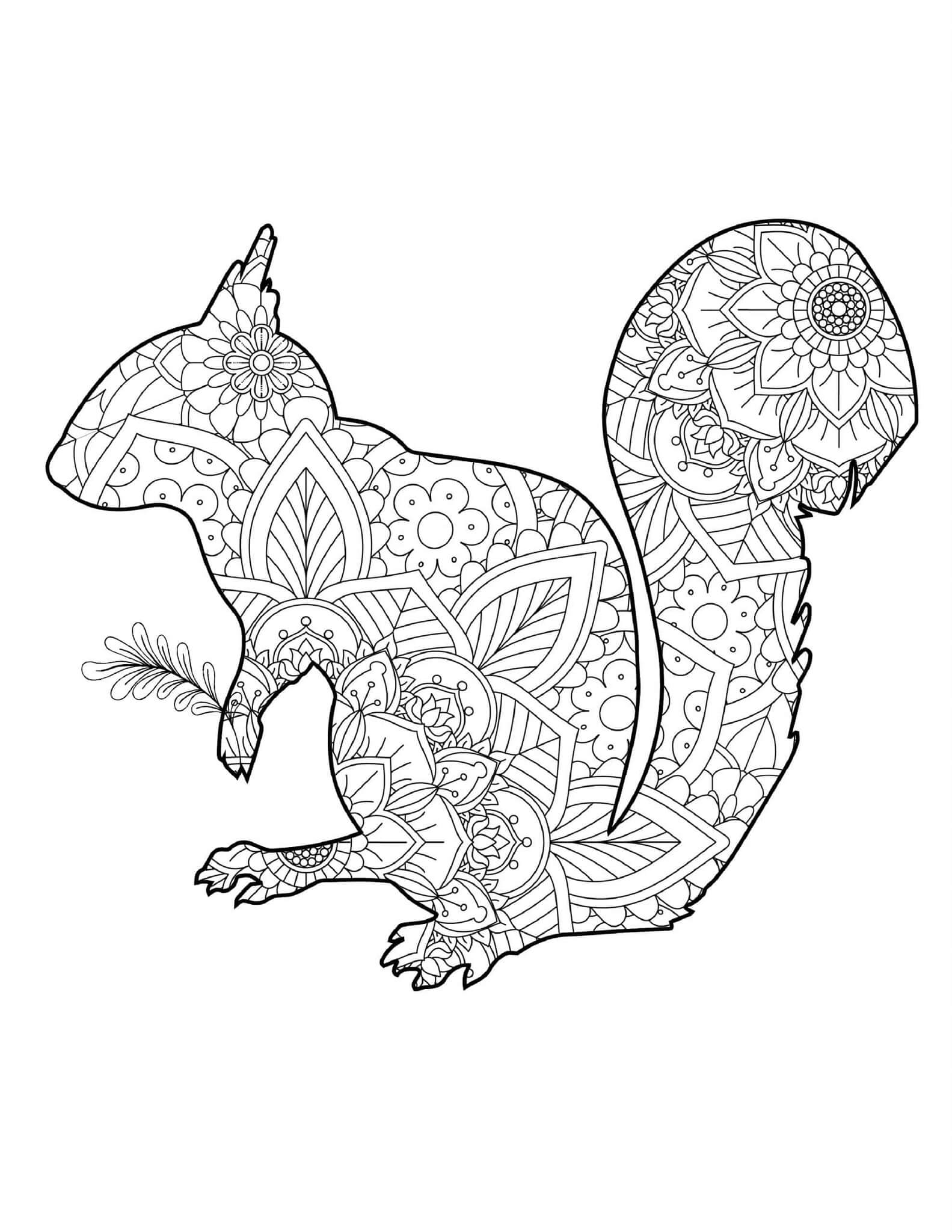 Mandala Squirrel Coloring Page Mandala