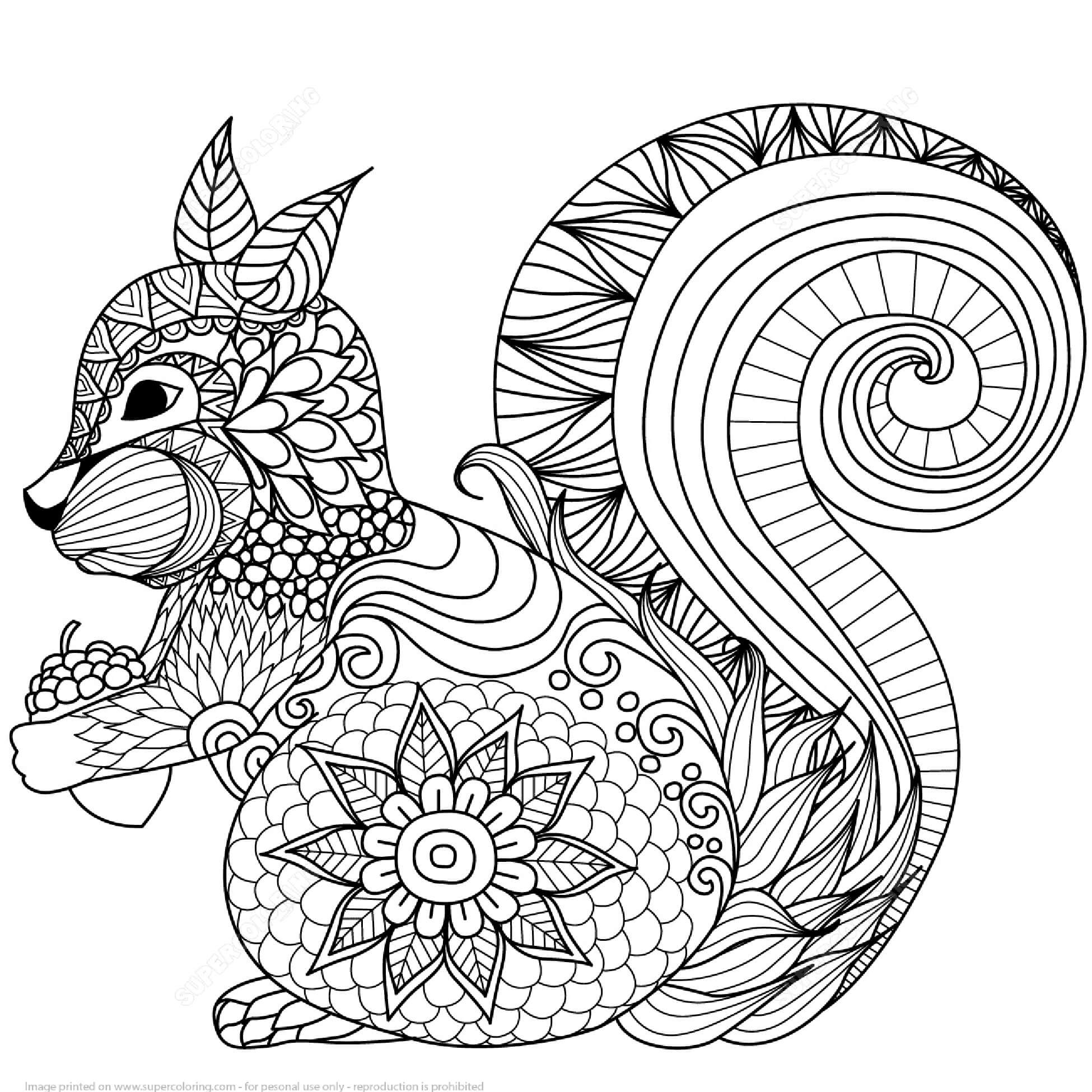 Mandala Squirrel Holding Acorn Coloring Page Mandalas