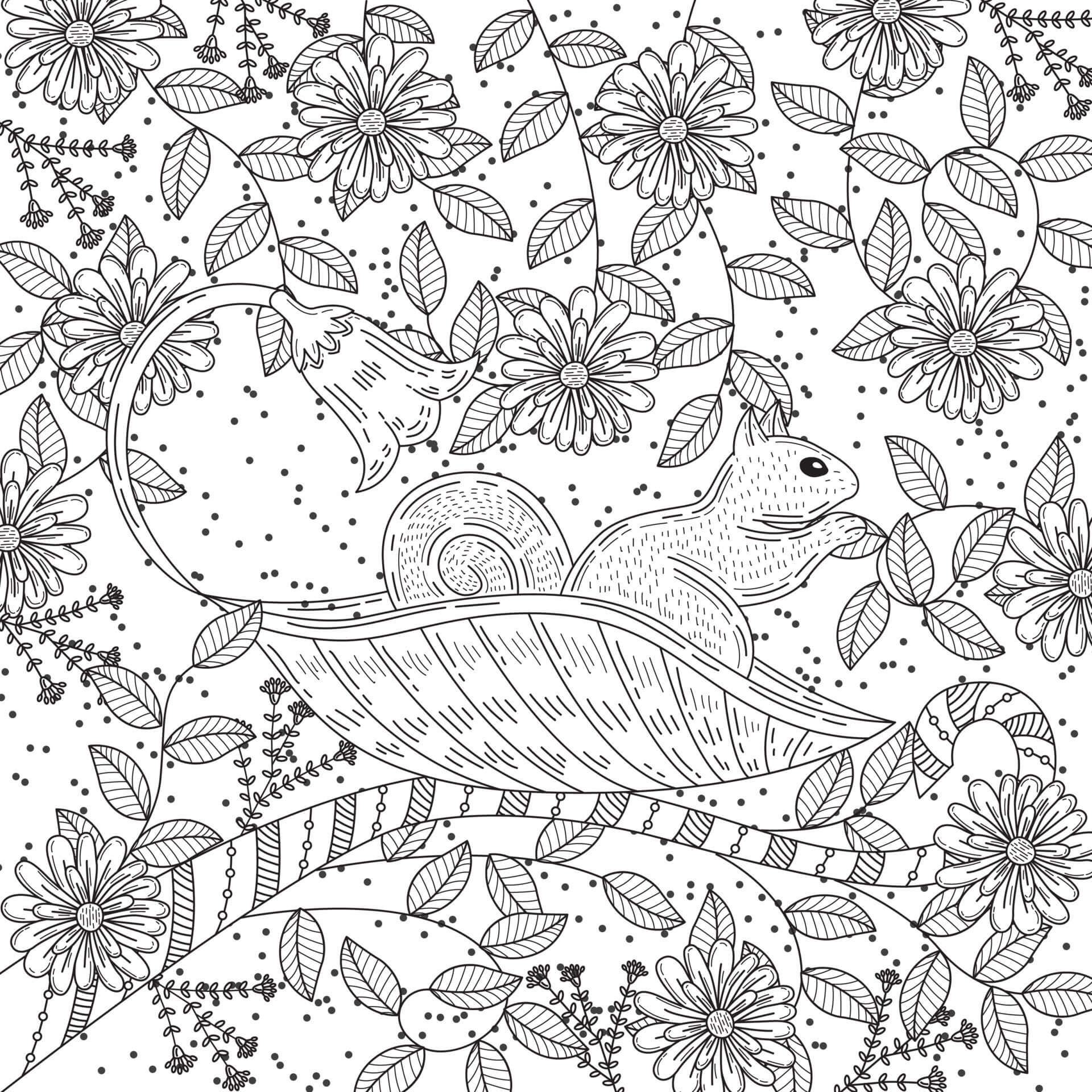 Mandala Squirrel With Leaves And Flowers Coloring Page Mandala