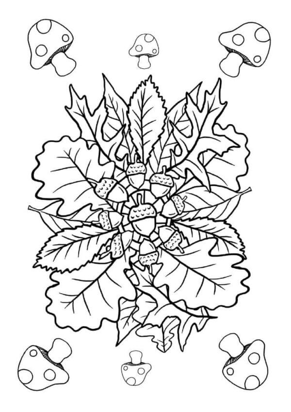 Mandala Autumn Coloring Page - Sheet 1 Mandalas
