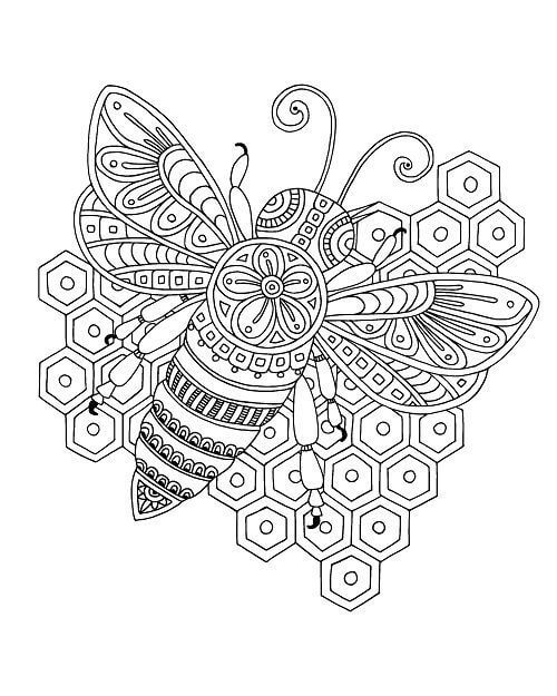 Mandala Bee Coloring Page - Sheet 1 Mandalas