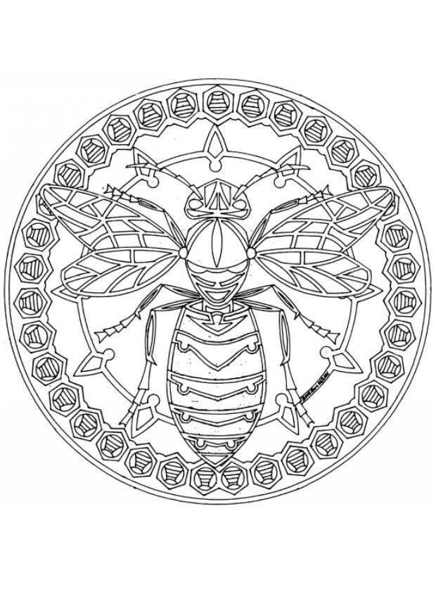 Mandala Bee Coloring Page - Sheet 4 Mandalas