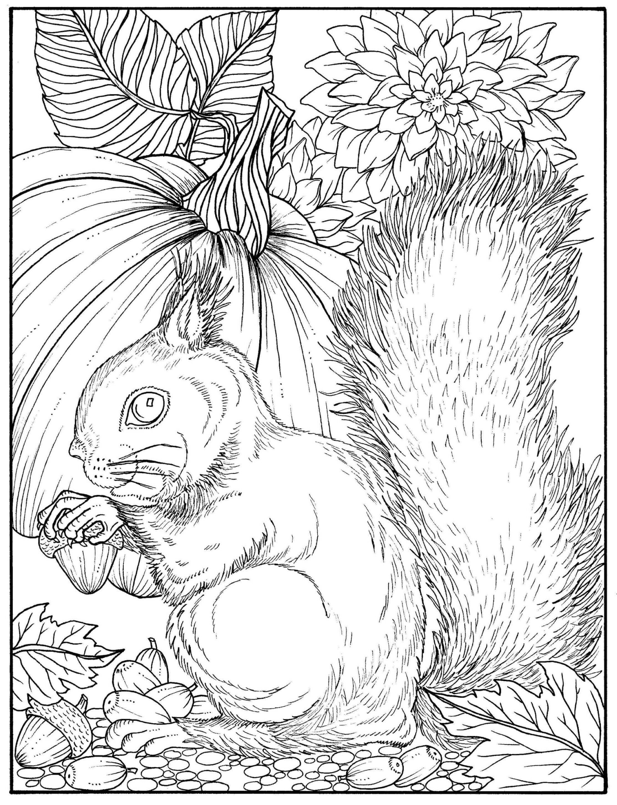 Mandala Big Squirrel In Autumn Coloring Page Mandalas