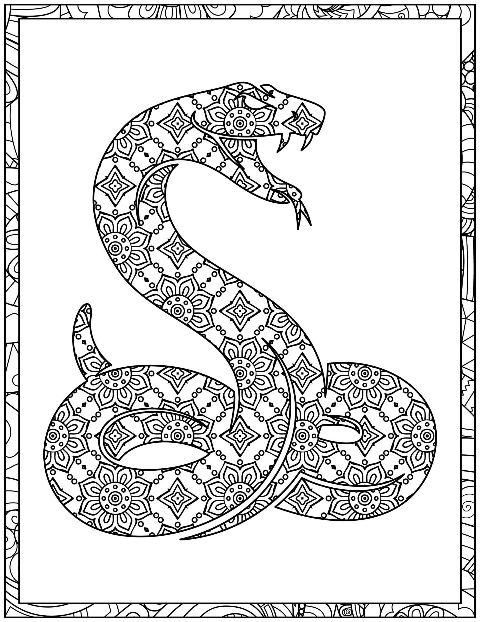 Mandala Beautiful Snake Coloring Page Mandalas