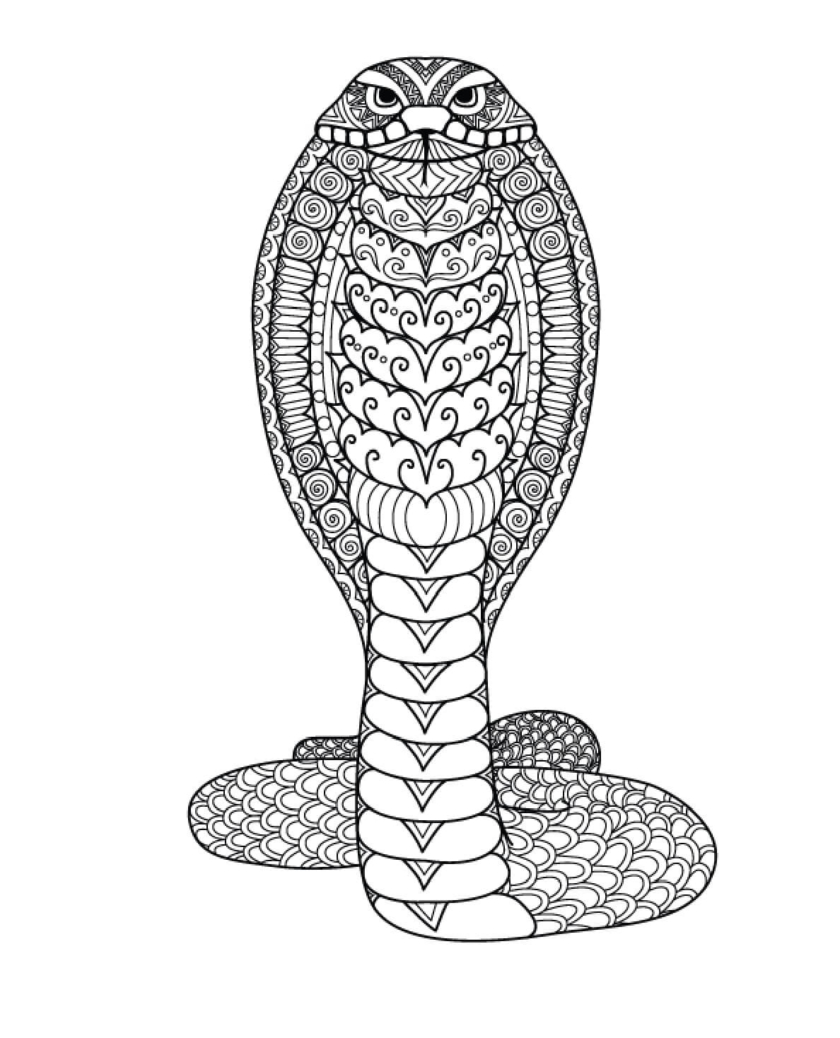 Mandala Cool Snake Coloring Page Mandalas