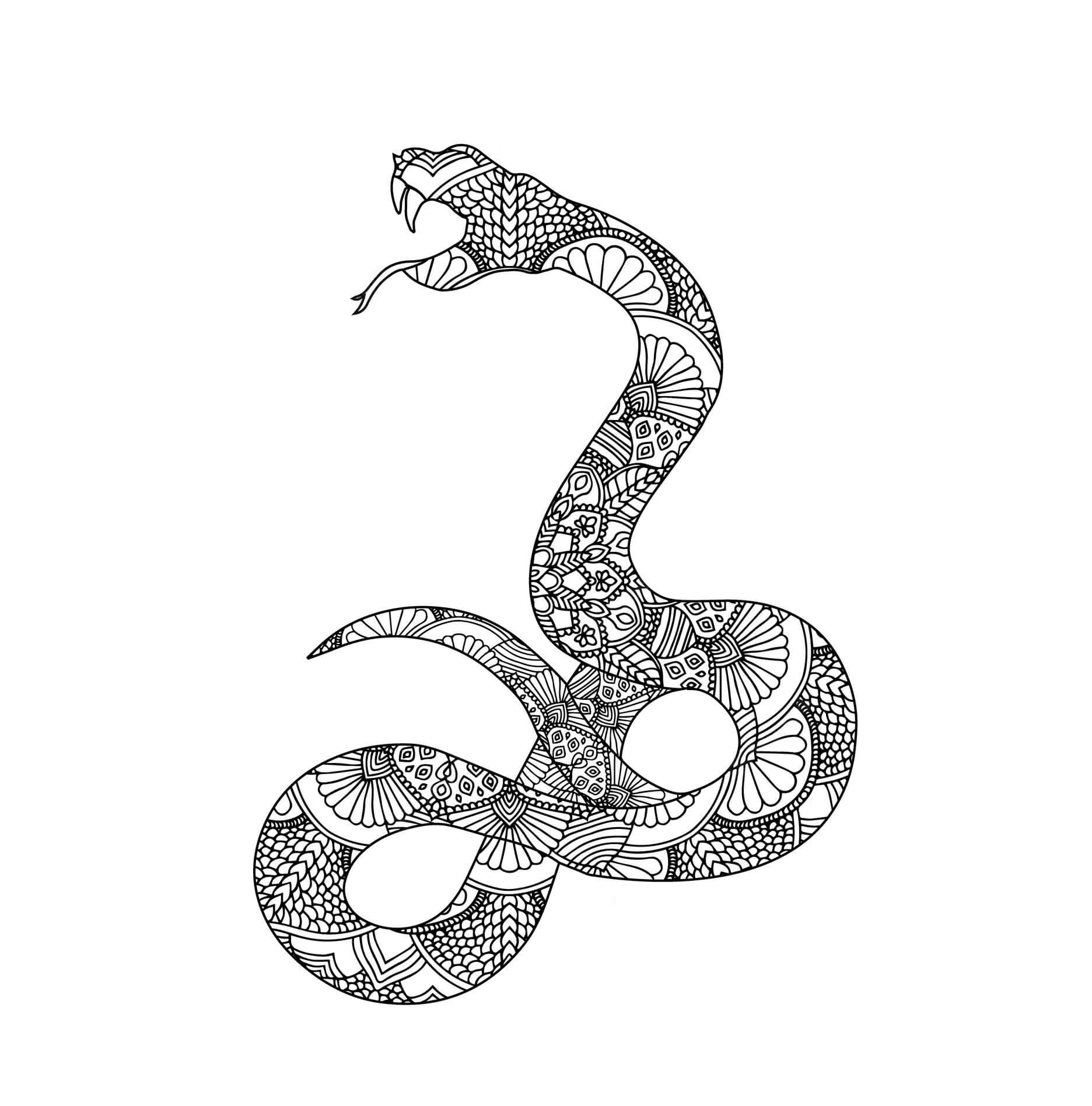 Mandala Scary Snake Coloring Page Mandalas