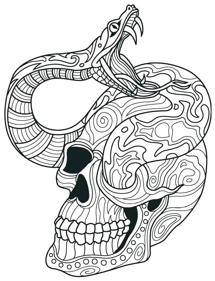Mandala Skull With Snake Coloring Page Mandalas