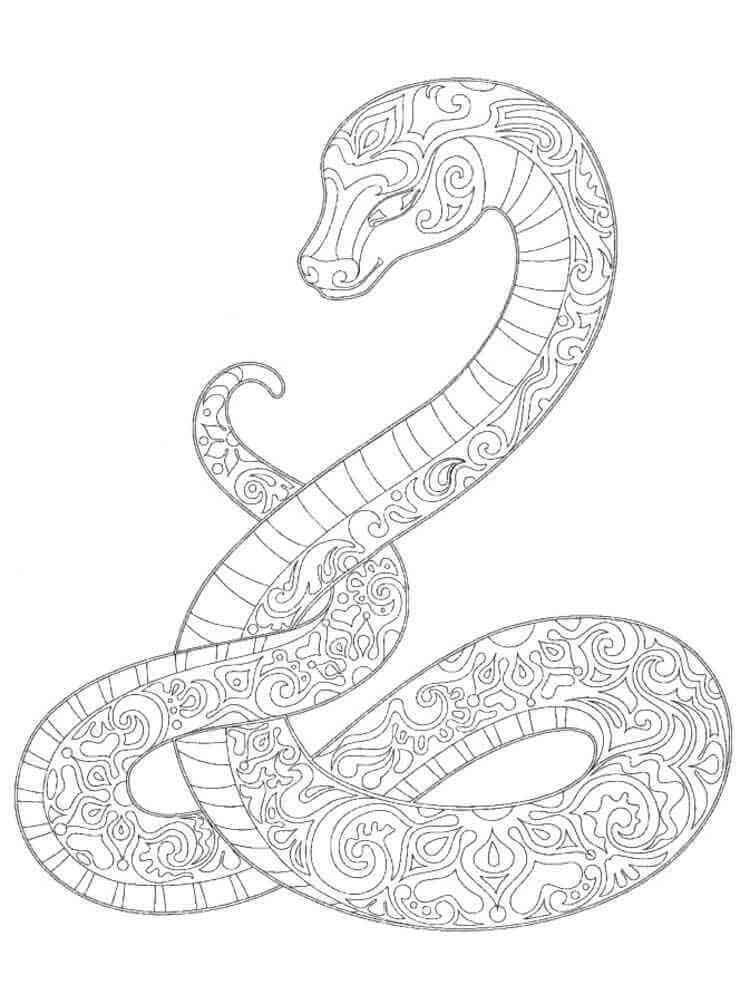 Mandala Snake Coloring Page - Sheet 10 Mandalas