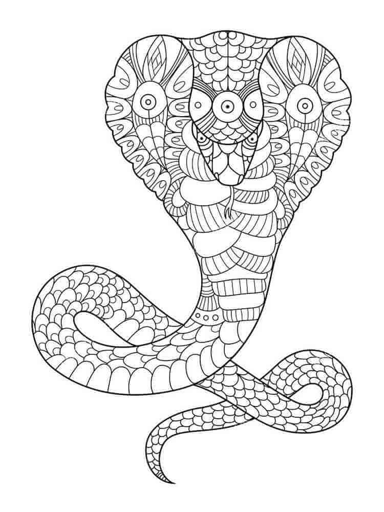 Mandala Snake Coloring Page - Sheet 12 Mandalas