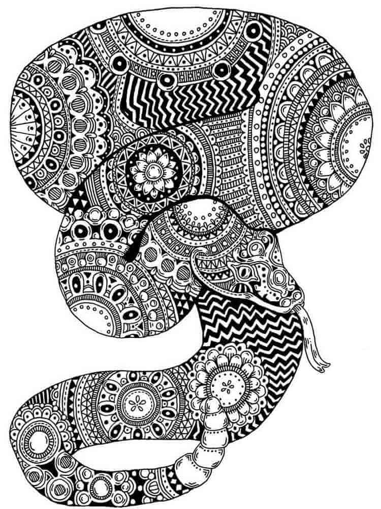 Mandala Snake Coloring Page - Sheet 15 Mandalas