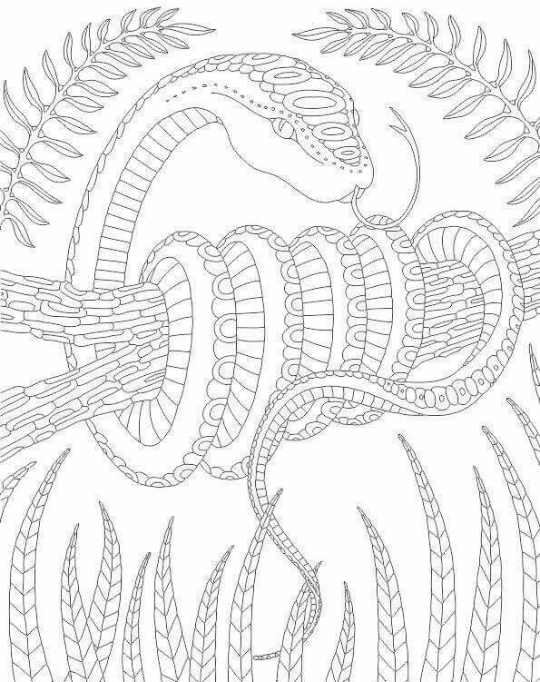 Mandala Snake Coloring Page - Sheet 17 Mandalas