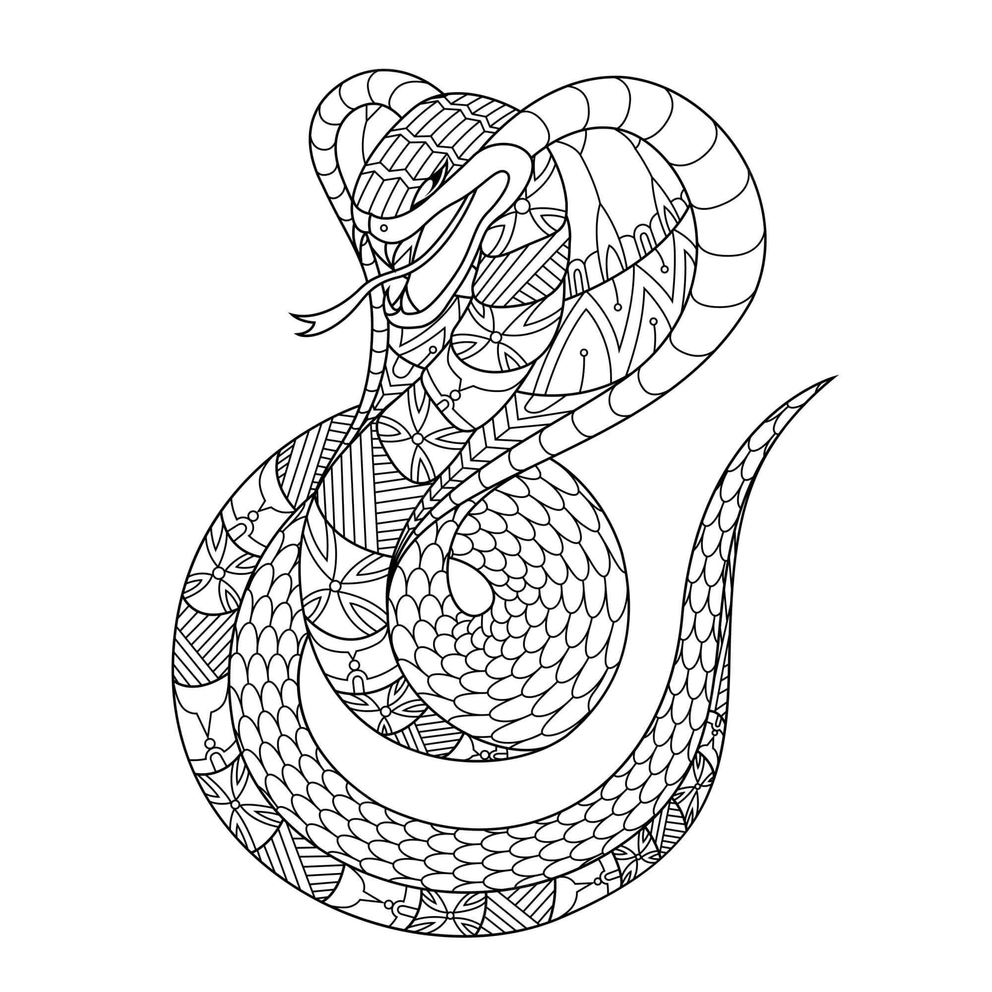 Mandala Snake Coloring Page - Sheet 2 Mandalas