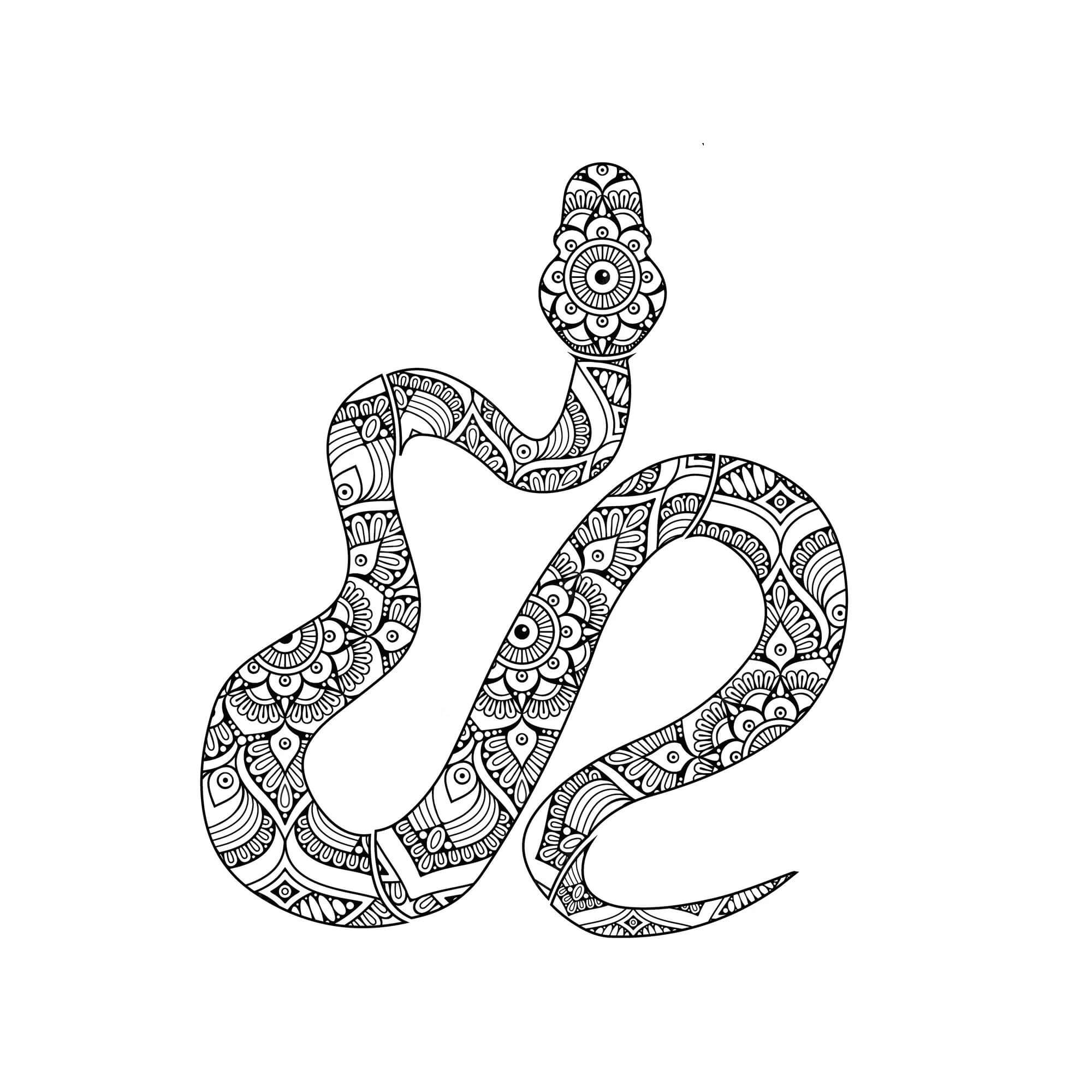 Mandala Snake Coloring Page - Sheet 3 Mandalas