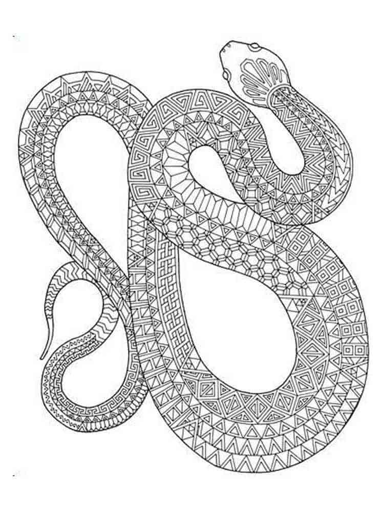 Mandala Snake Coloring Page - Sheet 4 Mandalas