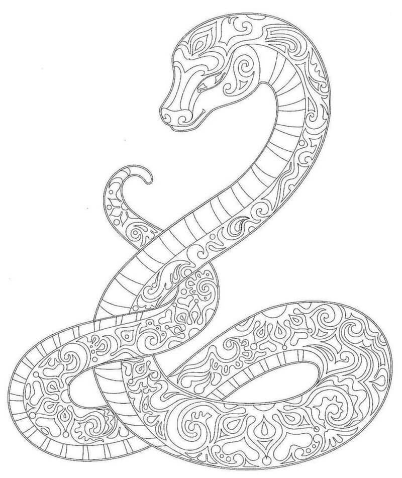 Mandala Snake Coloring Page - Sheet 5 Mandalas