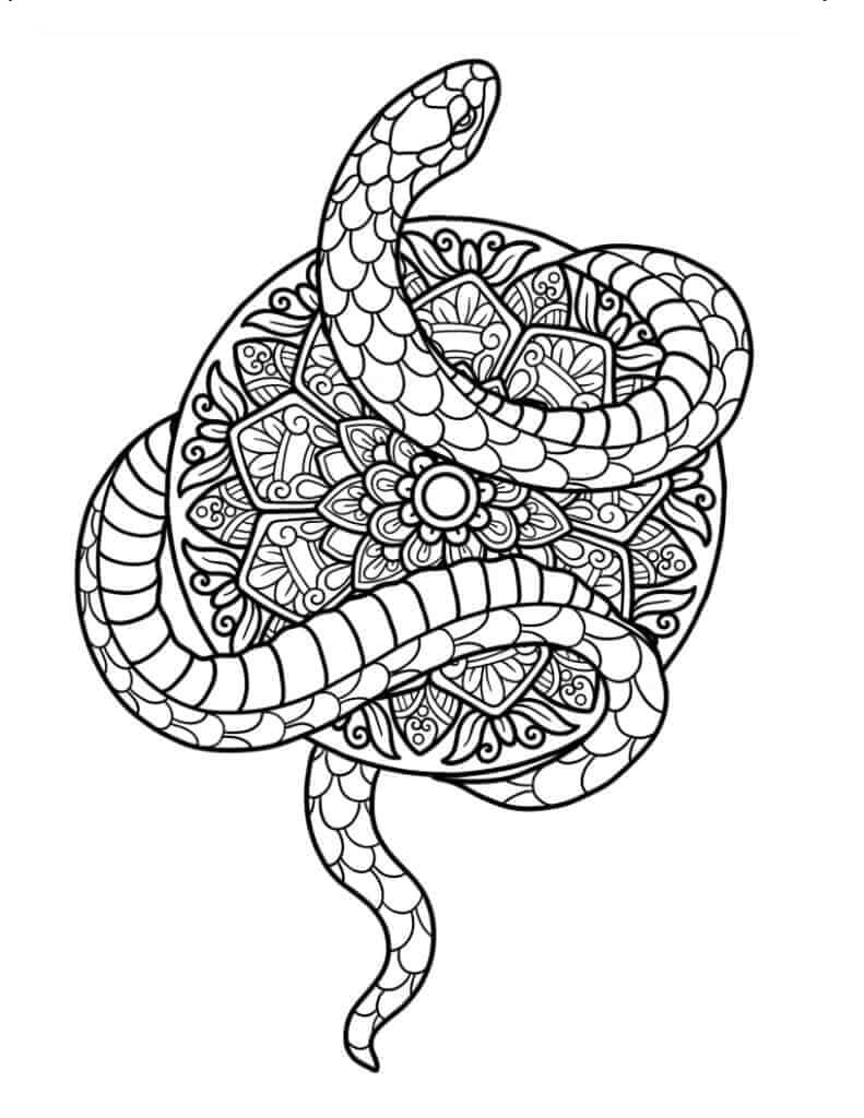 Mandala Snake Coloring Page - Sheet 8 Mandalas