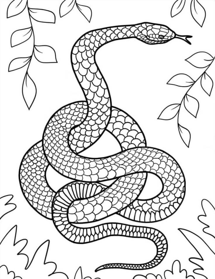 Mandala Snake With Leaves Coloring Page Mandalas