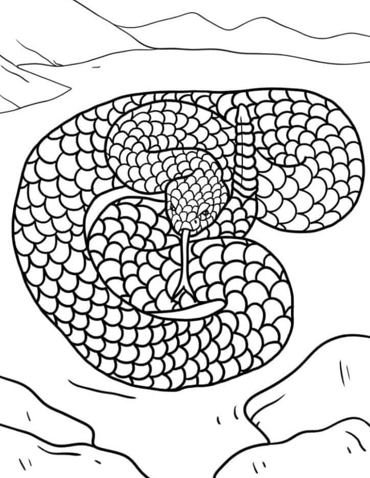 Mandala Snake With Rocks Coloring Page Mandalas