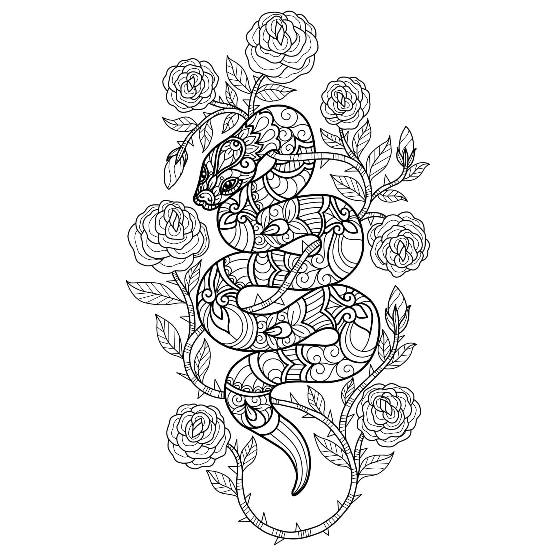 Mandala Snake With Rose Tree Coloring Page Mandalas