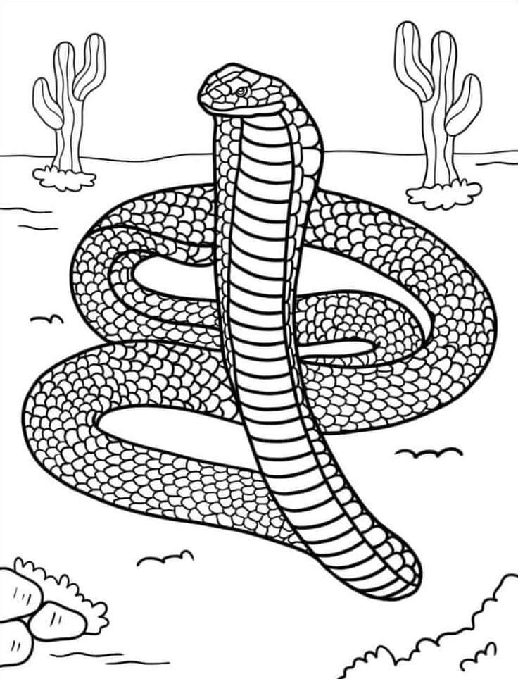 Mandala Snakes In The Desert Coloring Page Mandalas