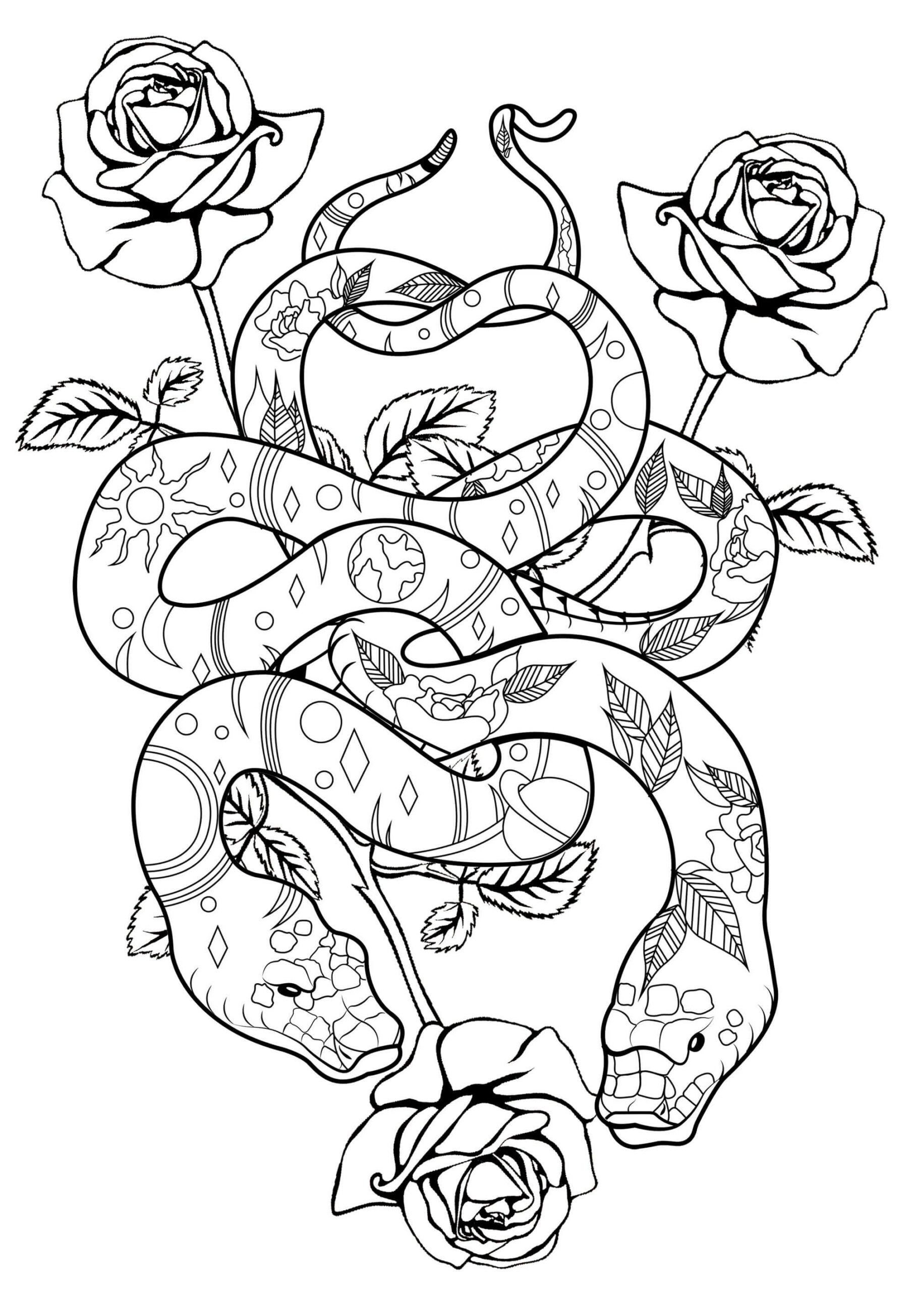 Mandala Two Snakes With Roses Coloring Page Mandalas