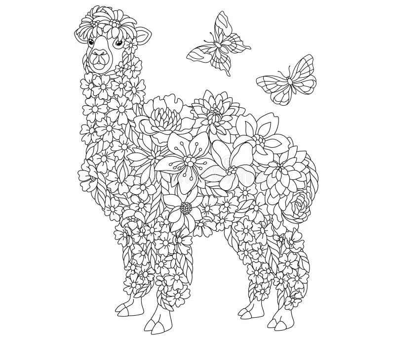 Mandala Llama With Butterflies Coloring Page Mandalas