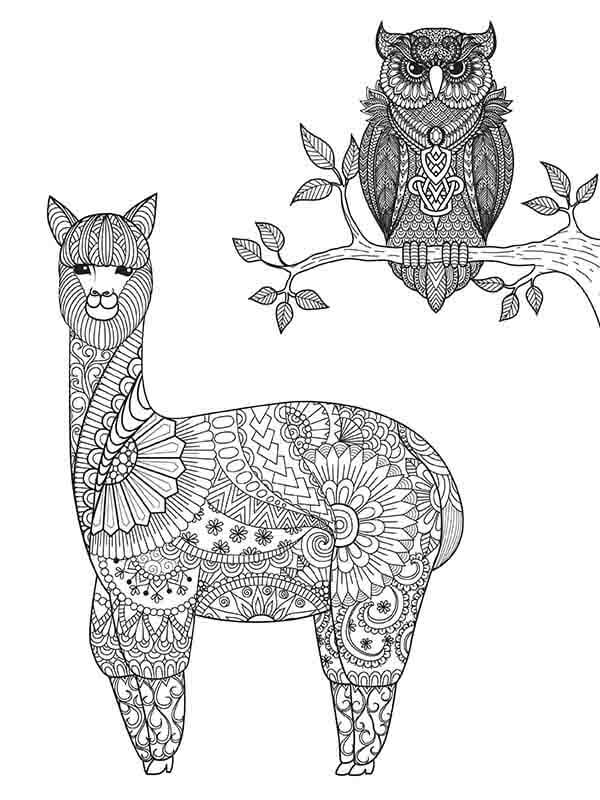 Mandala Owl And Llama Coloring Page Mandalas