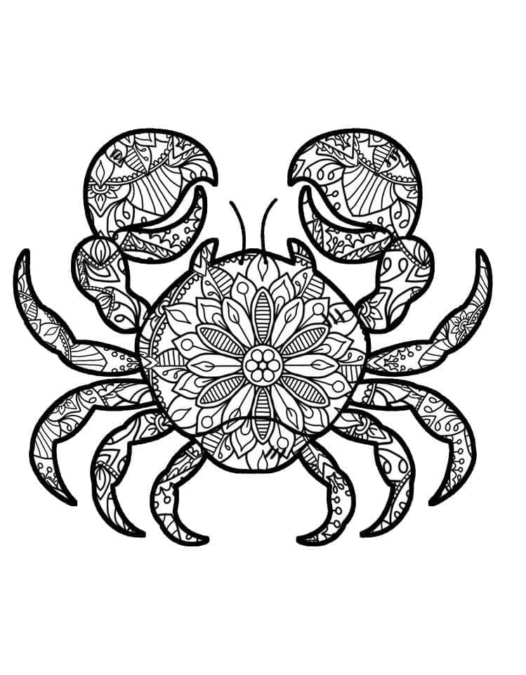 Incredible Crab Mandala Coloring Page Mandala